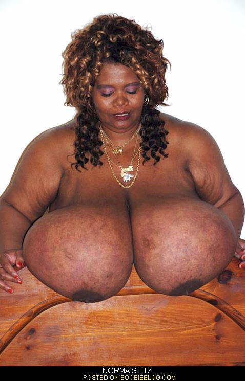 norma stitz showing pussy lirik lagu just one day ost marriage not dating