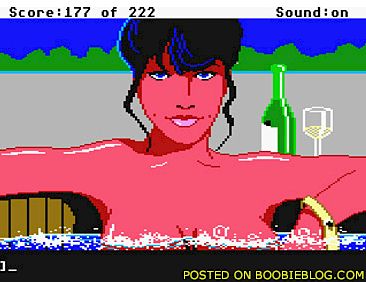 Leisure Suite Larry Babe