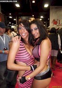 2011 EXXXOTICA