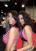 2011 EXXXOTICA