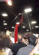 2011 EXXXOTICA