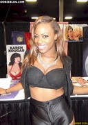 2011 EXXXOTICA