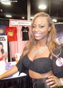 2011 EXXXOTICA