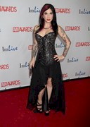 2014 AVN Awards