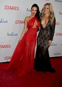 2014 AVN Awards