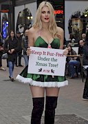 Busty Christmas elf