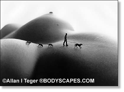 Bodyscape