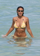 Emmanuelle Chriqui in a bikini