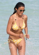 Emmanuelle Chriqui in a bikini