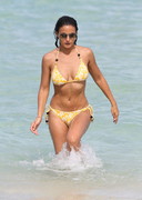 Emmanuelle Chriqui in a bikini