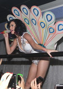 Katy Perry areola slip