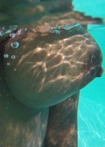 Big ebony boobs in a pool