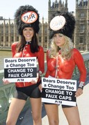 Body paint babes protesting