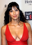 Padma Lakshmi cleavage in a dress