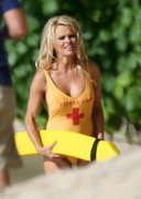 Pamela Anderson in a swimsuit