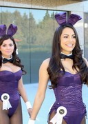 Playboy bunnies