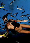 Nude diving with Playmates