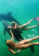 Nude diving with Playmates