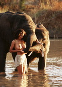 Naked babes on a Safari