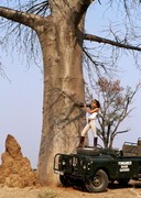 Playmates on Safari