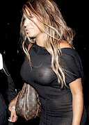 Traci Bingham see through boobs