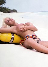 Big tit babe at the beach