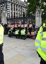 Topless protest