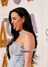Katy Perry big tits on red carpet