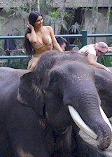 Kim Kardashian on top of an elephant