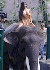 Kim Kardashian on top of an elephant