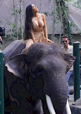 Kim Kardashian on top of an elephant