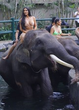 Kim Kardashian on top of an elephant
