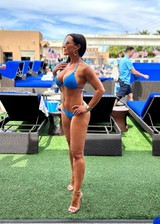 Lisa Ann bikini boobs