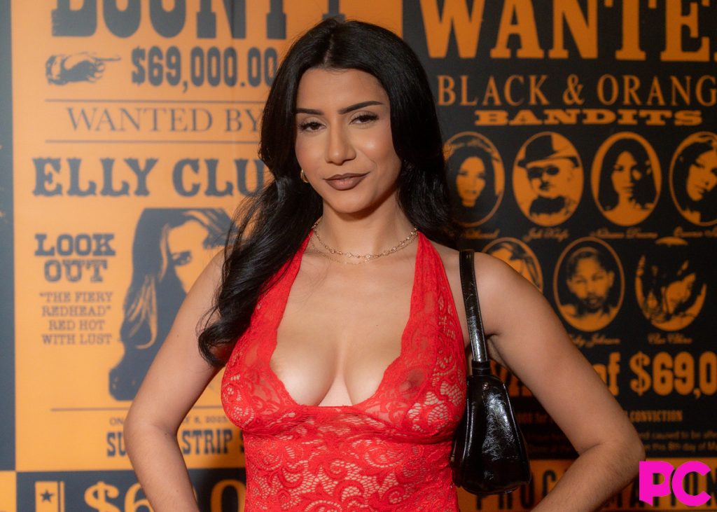 Porn star boobs on the red carpet at an awards show
