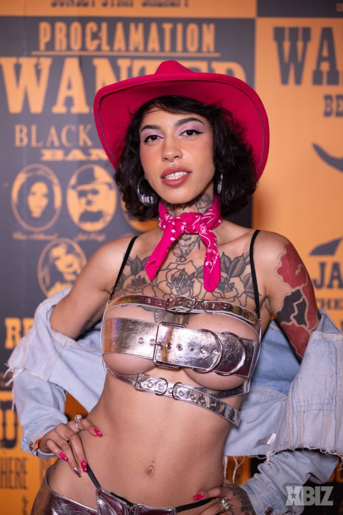 Porn star boobs on the red carpet at an awards show