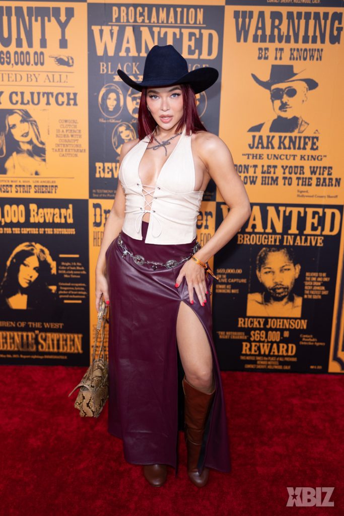 Porn star boobs on the red carpet at an awards show