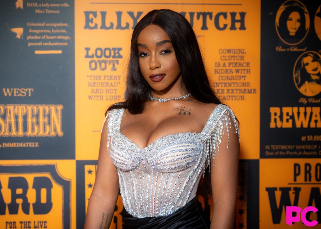 Porn star boobs on the red carpet at an awards show