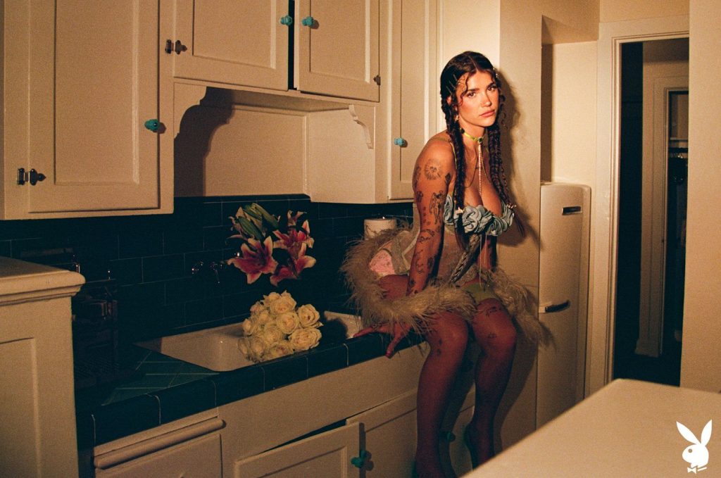 Sexy brunette in lingerie sitting on the counter inside her kitchen