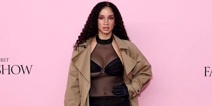 Curvy Latina in a sexy sheer outfit against a pink background