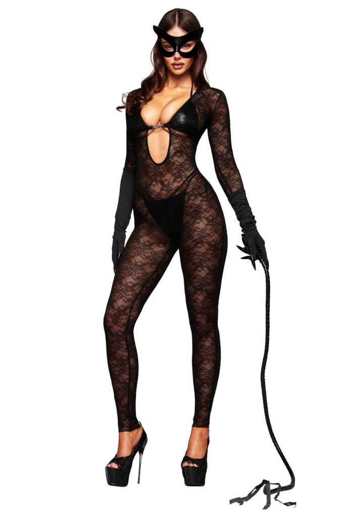 Sexy model wearing cat woman inspired lace lingerie