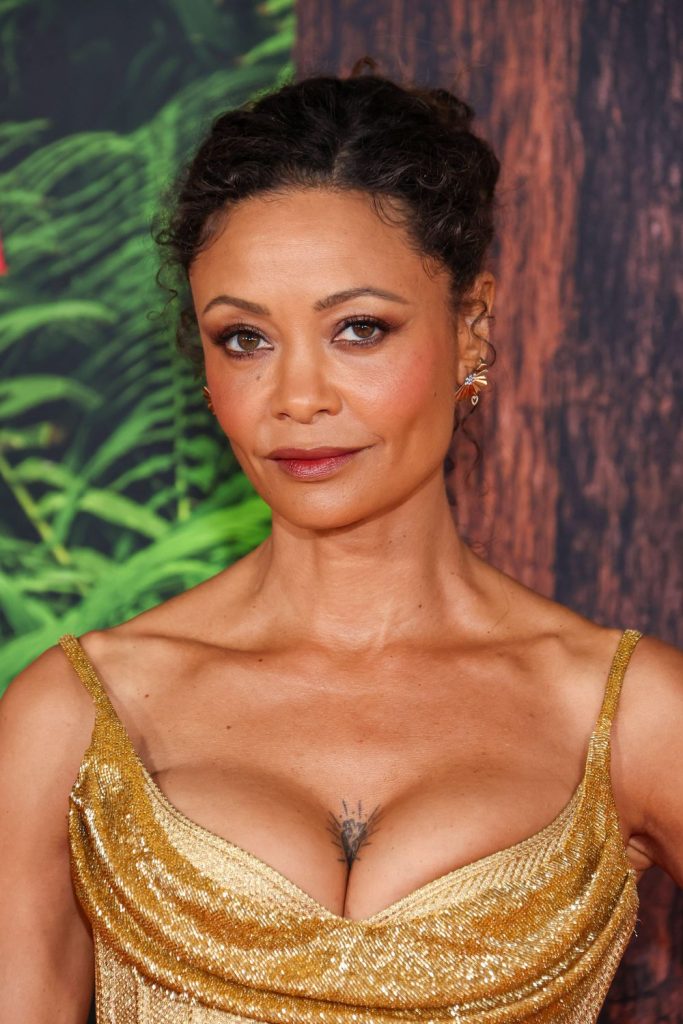 Close up of Thandiwe Newton looking into the camera at a film premiere