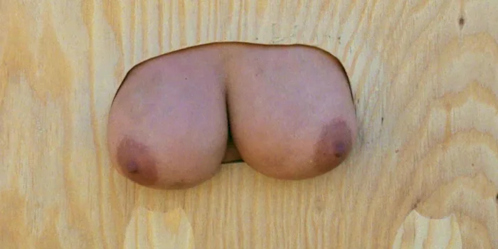A pair of nude breasts sticking out through a hole in a wood fence.